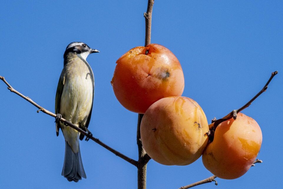    Cfoto/Keystone Press Agency / www.globallookpress.com