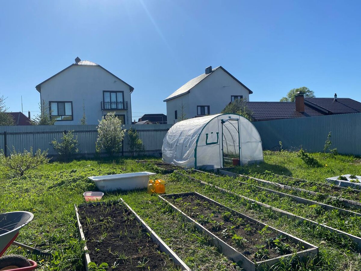    Сажаю каждый год в ноябре на огороде 3 «особых» культуры - а весной собираю классный урожай