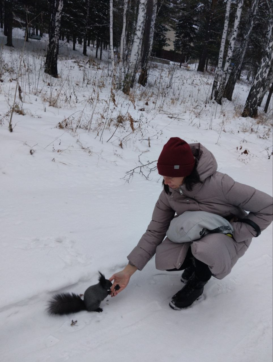 Наглая белка