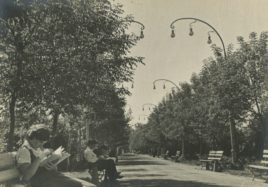 Центральный парк культуры и отдыха им. Горького, Ландышевая аллея (Москва, 1941 год)