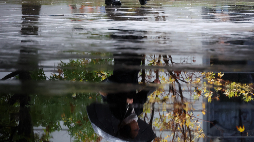    Фото: Фадеичев Сергей/ТАСС