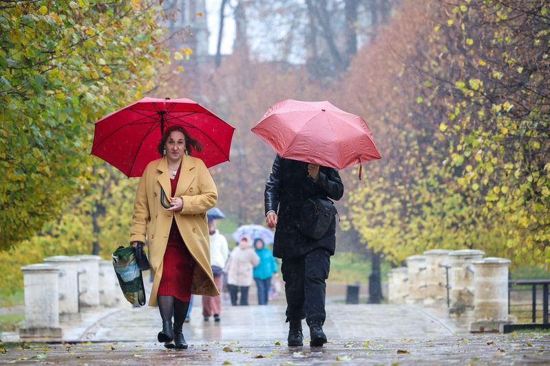    Алексей Белкин/NEWS.ru