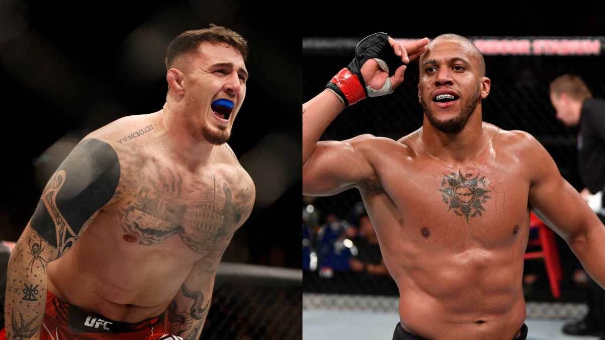 Они были готовы  биться.но что-то пошло не так. фото: картинки яндекс.