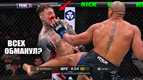 Аспинал.  фото:картинки яндекса