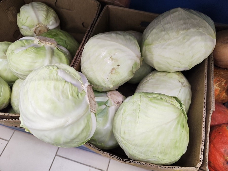    Капусту квашу в октябре 2025 только в эти дни и только так: делюсь семейным рецептом