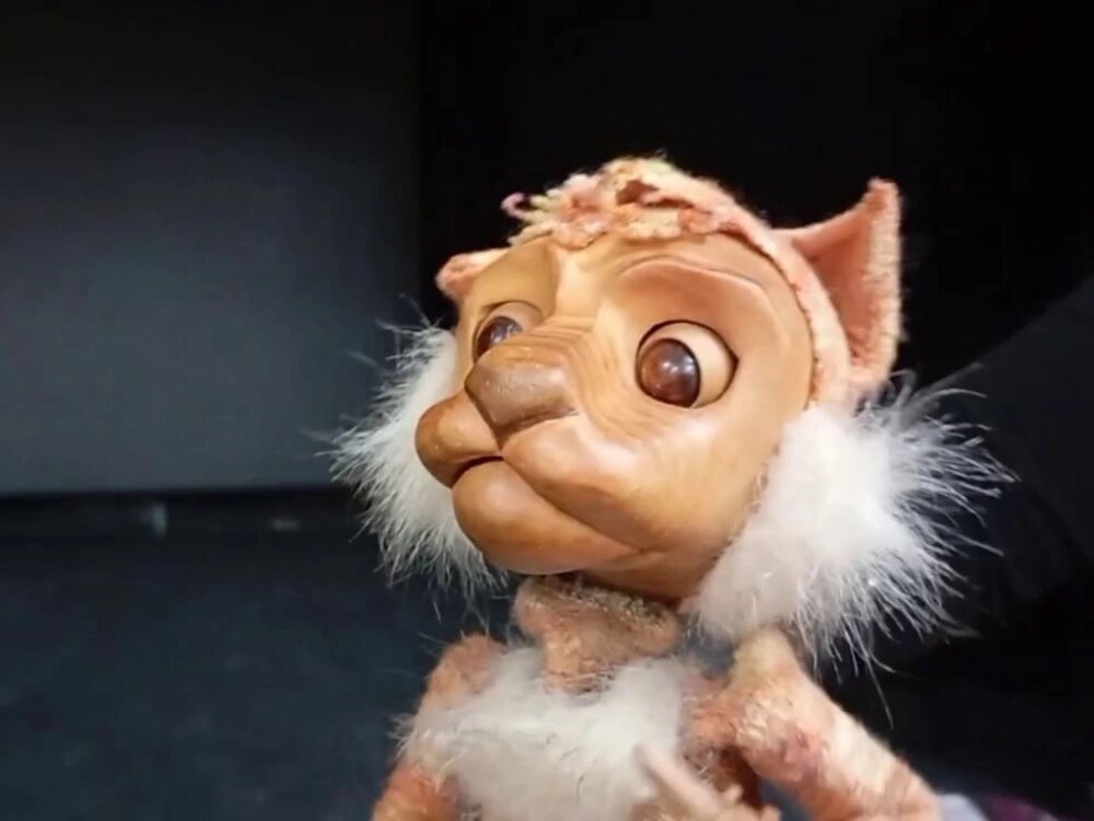    Фото: АиФ-Калуга/ Ярослав Соколов