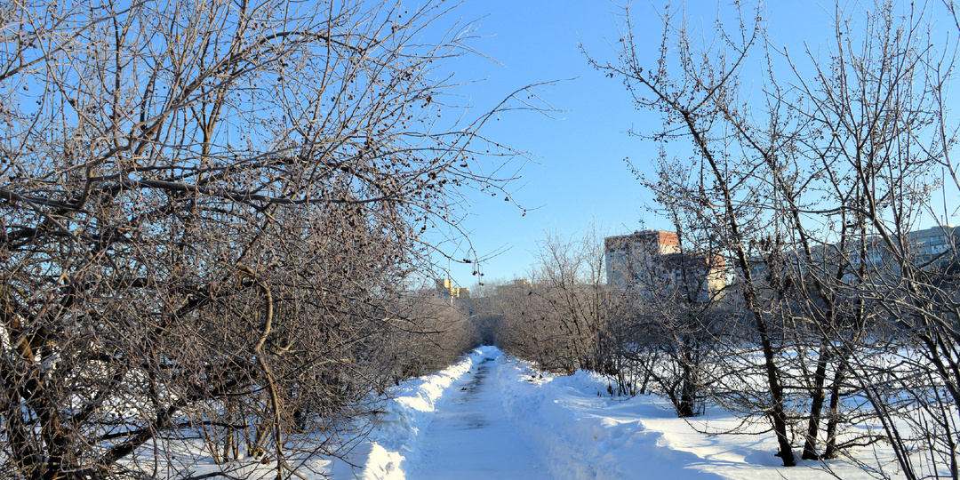 Свекровь против невестки. А что я такого сказала