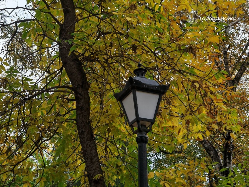     Фото: Города Лайф