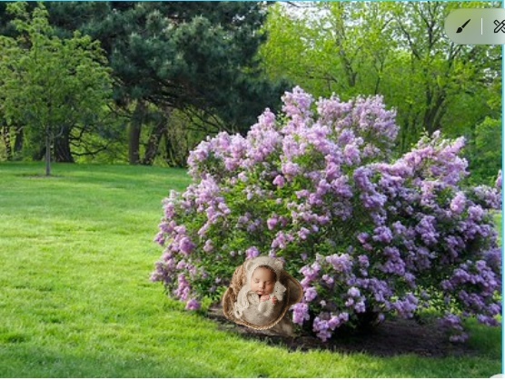 Коллаж автора