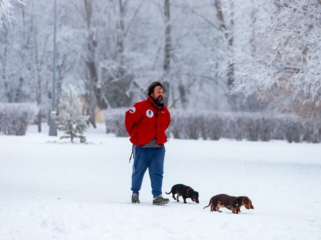    Фото: Москва 24/Лидия Широнина