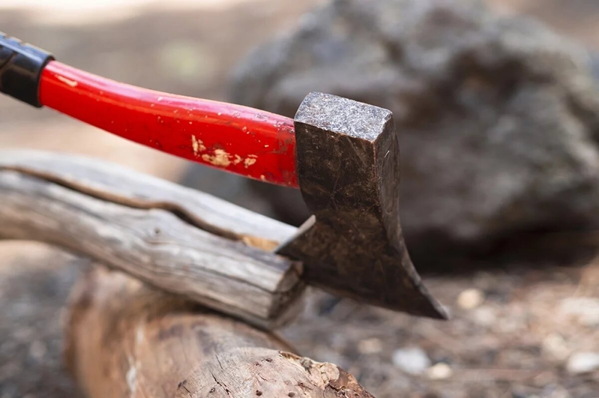    66-летняя жительница Алтая пойдет под суд за убийство топором в 90-х