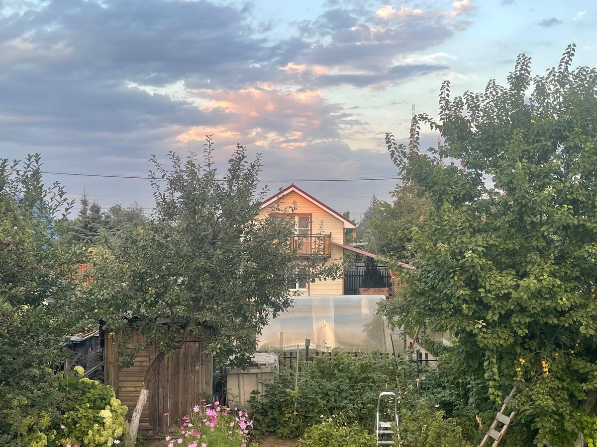    Фото: Анастасия Максименко