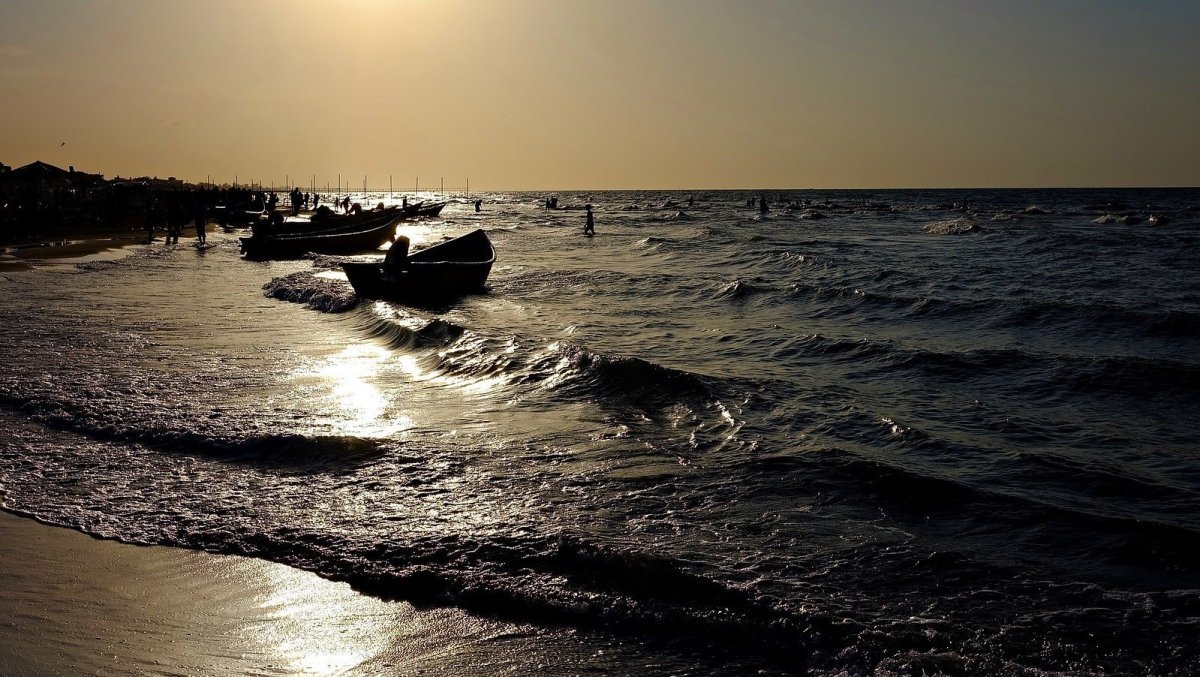 Побережье Каспийского моря. Яндекс картинки.