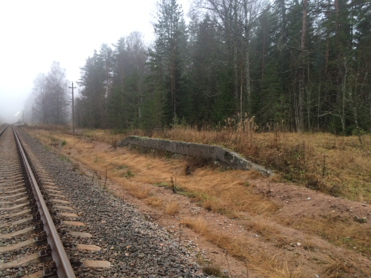 ст.Тарасовское Грузовая платформа автор  Scaut2002.