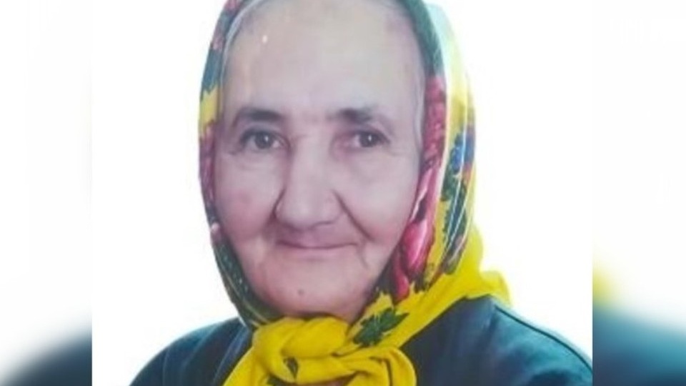 В селе Башкирии больше недели назад пропала пожилая женщина