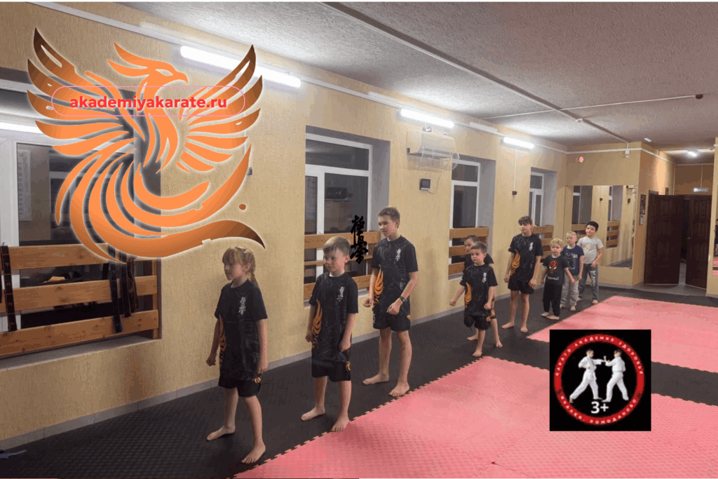 Академия Карате
