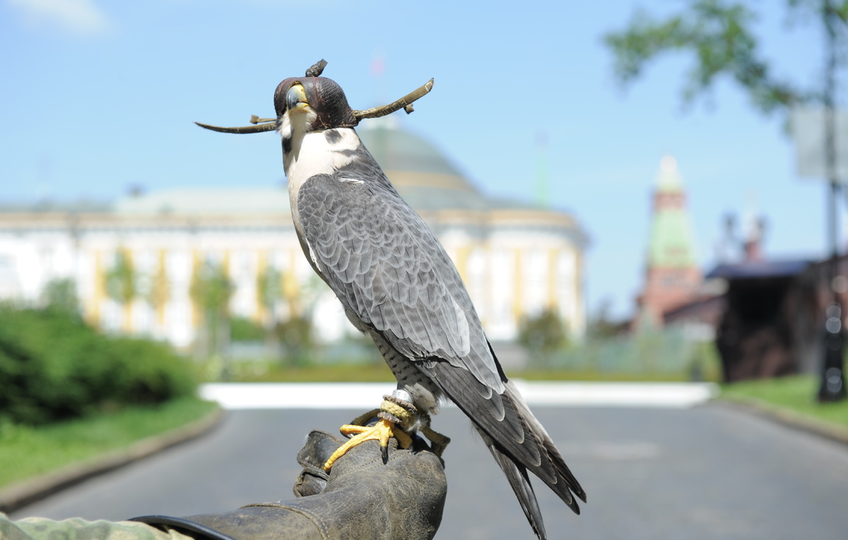 А. Соловьев/ОСПО ФСО России