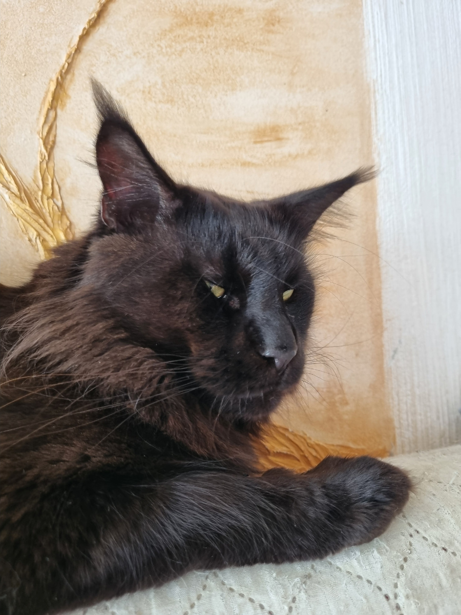 Пока вот этот хвост ловлю