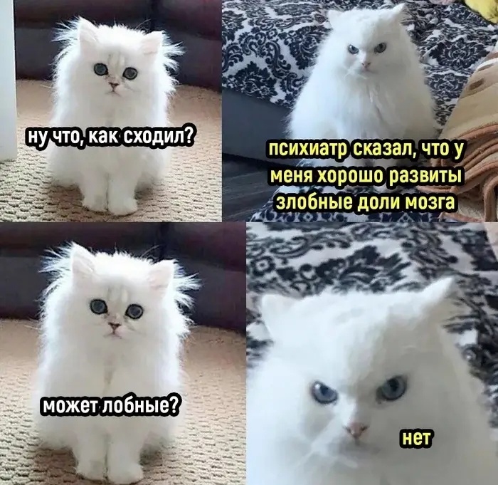 я не особо злобная, но редкие вспышки случаются всё же