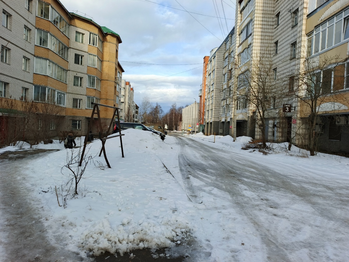    Синоптики дали точный ответ, когда ждать настоящую зиму в Центральной России - обновленный прогноз на конец года