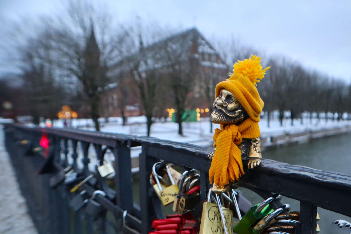 Дедушка-хомлин Карл, утеплился к зиме😉