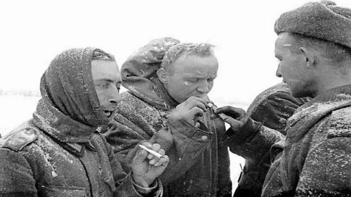 Яндекс картинки