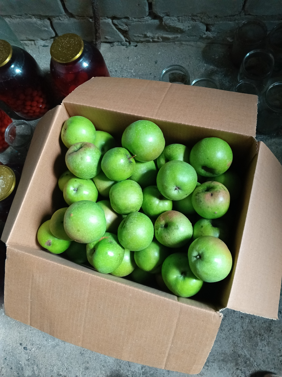 Фото автора.