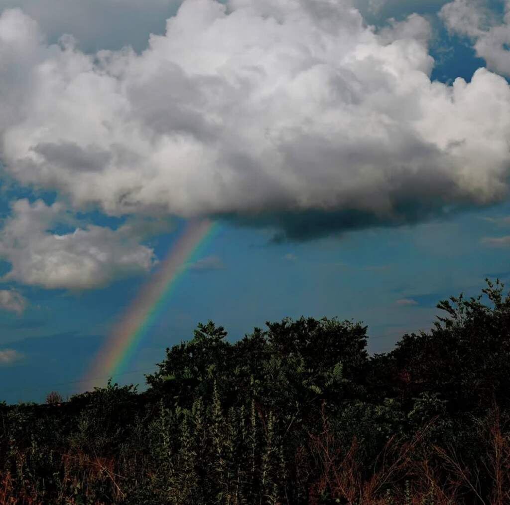    Фото: "Веселовские вести" Веселовские вести