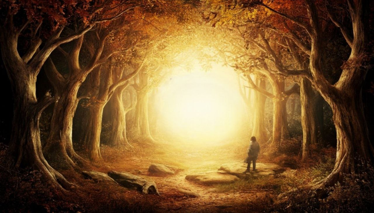 фото из интернета