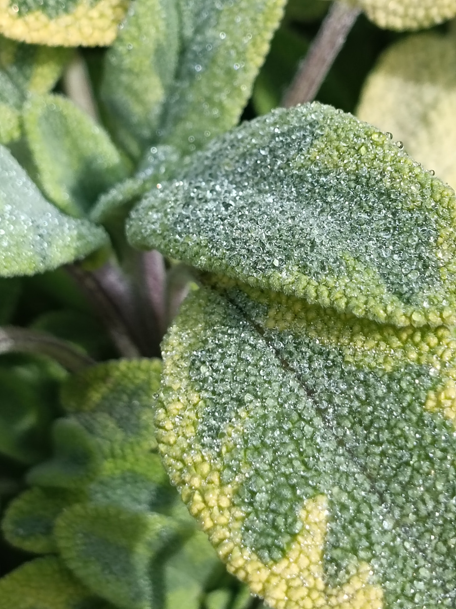 Красиво же👍