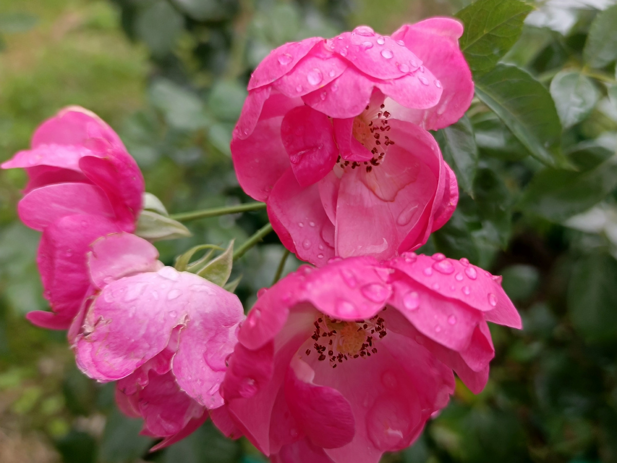 Адлер, октябрь 2025 года