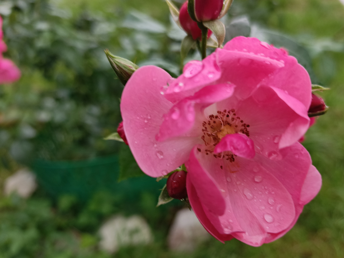 Адлер, октябрь 2025 года