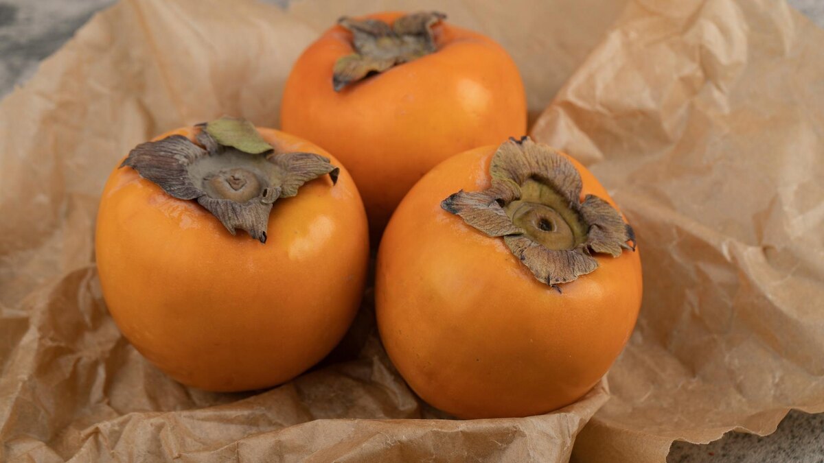 Фото: ru.freepik.com