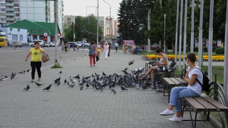     Голуби. Дмитрий Лямзин.