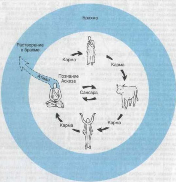 Картинка из Сети