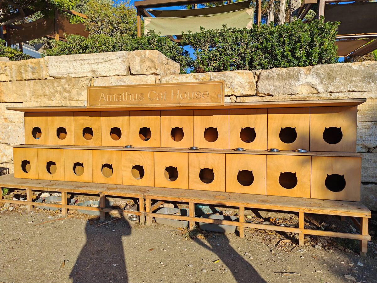 Это не скворечники, это забота о котиках.