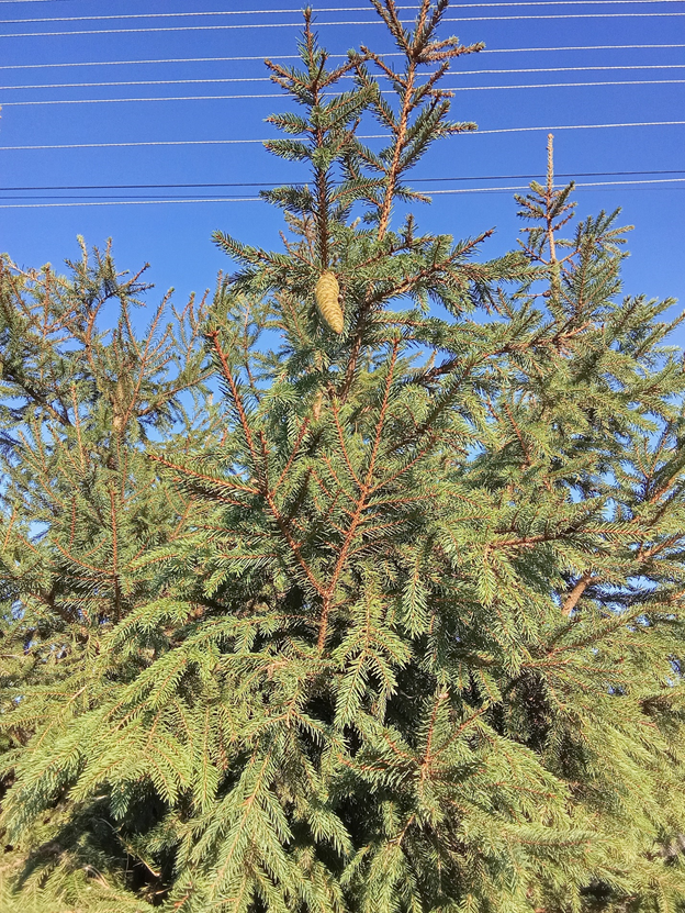 Личное фото