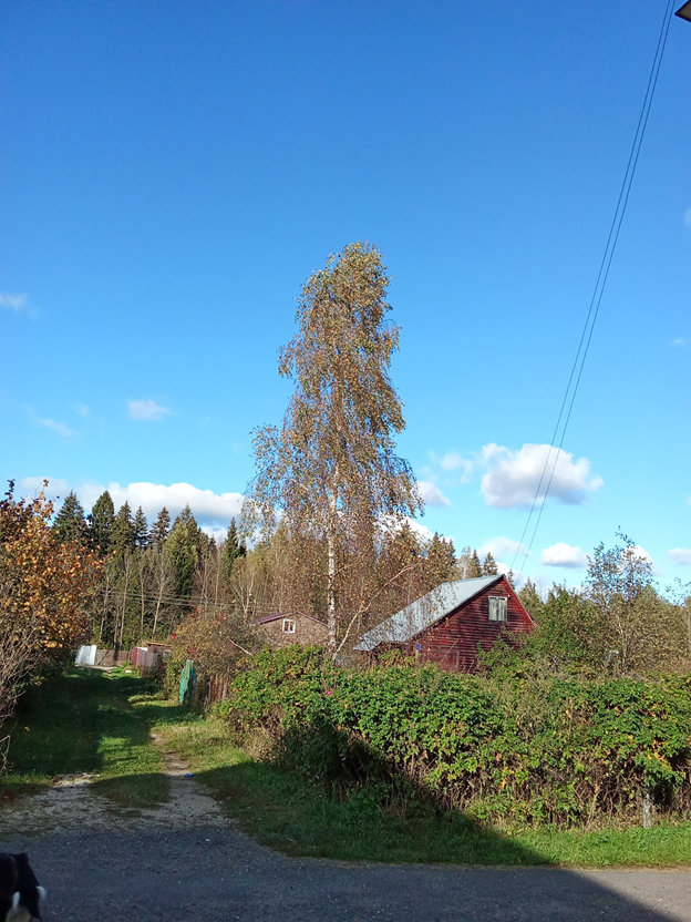 Личное фото