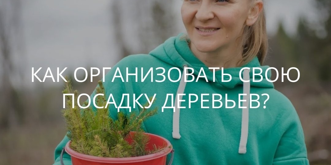 Как проходят посадки деревьев?