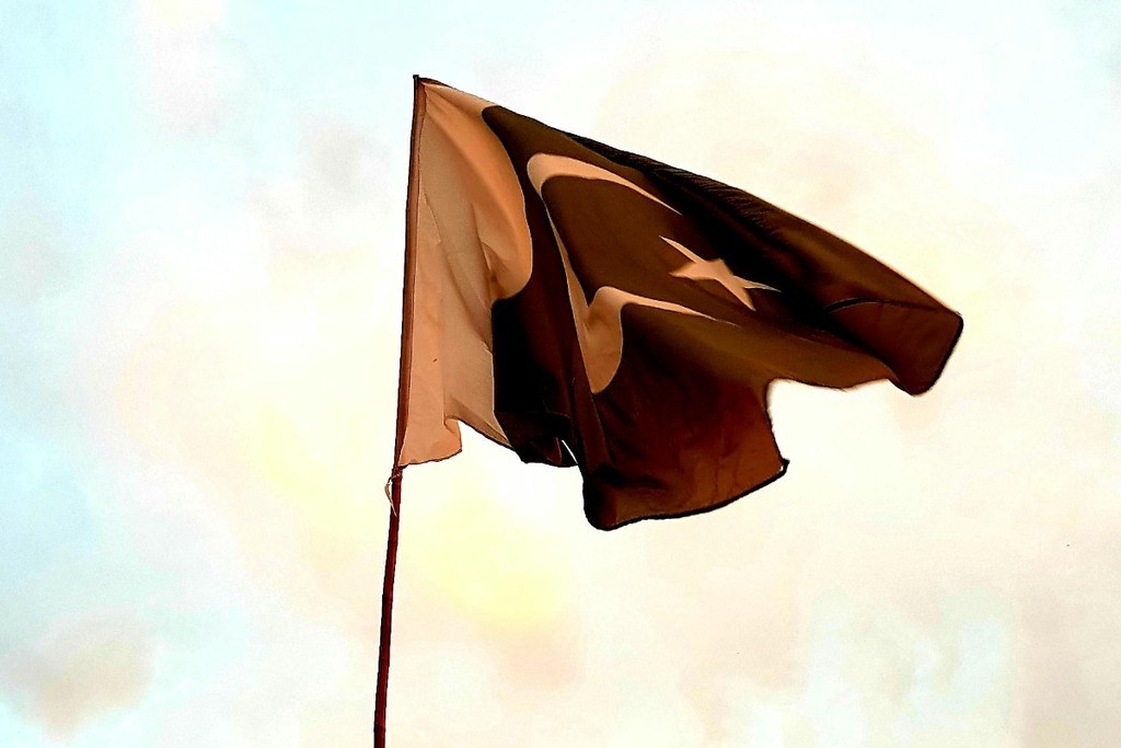    Фото © Pexels.com