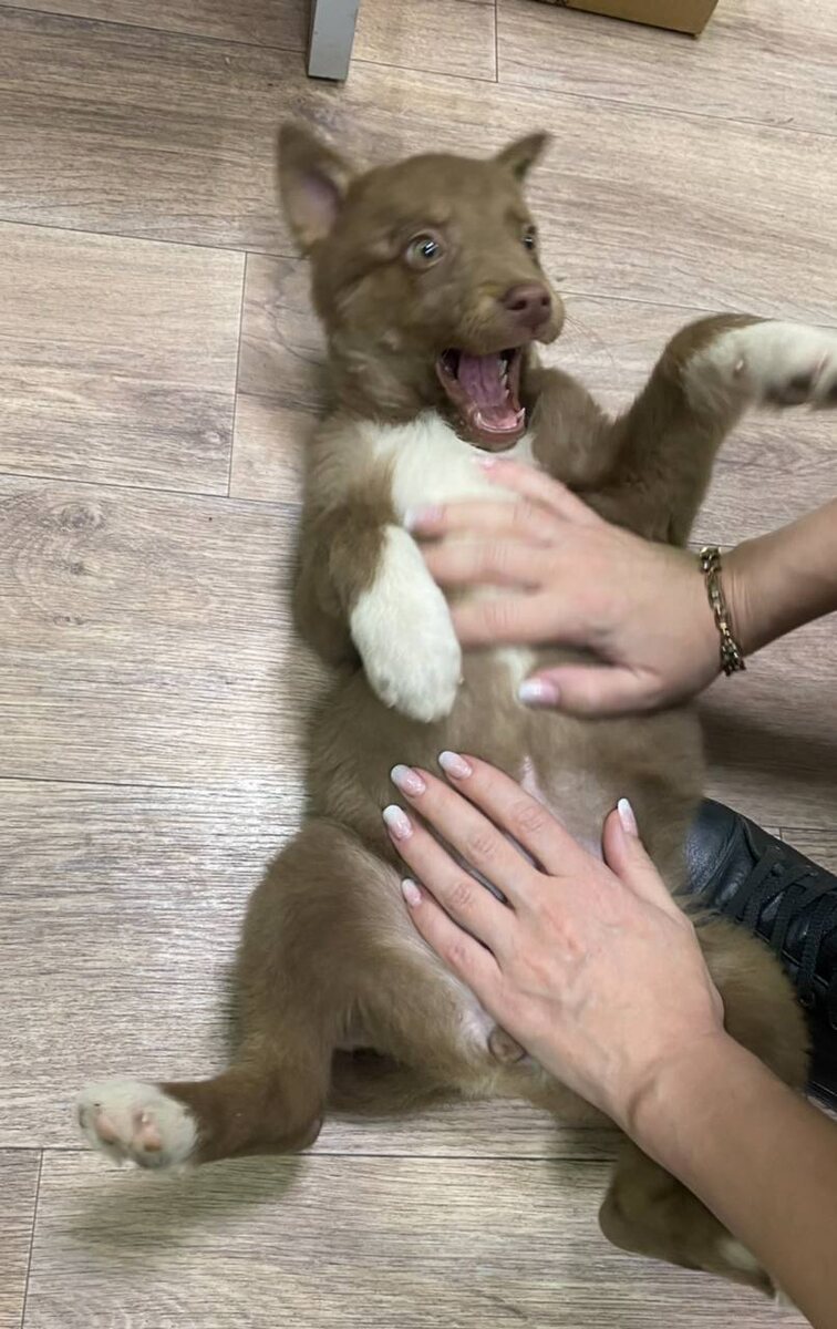 Она сразу была веселая 