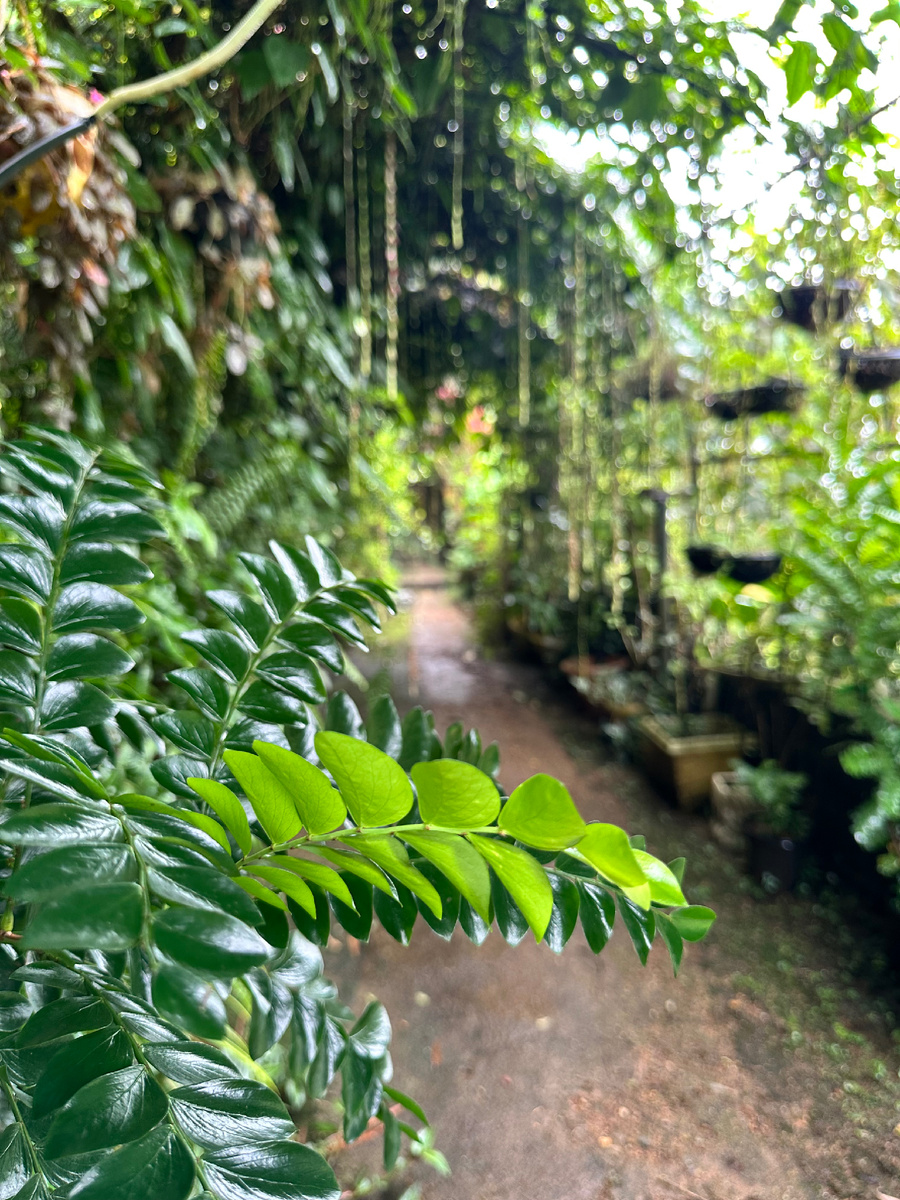 Вход в сад бабочек в Гоа