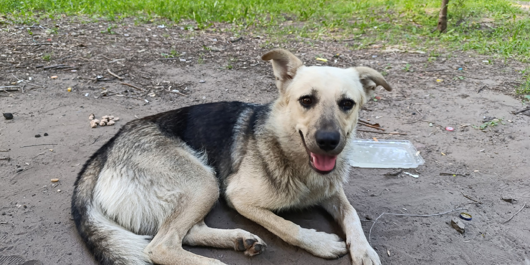 💔 Стелла: Цена Предательства… Помогите спасти чуть не загубленную душу! 💔