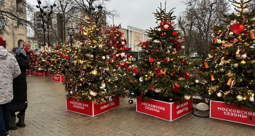    15 бюджетных подарков на Новый год, которые точно порадуют близких - я уже все заказала