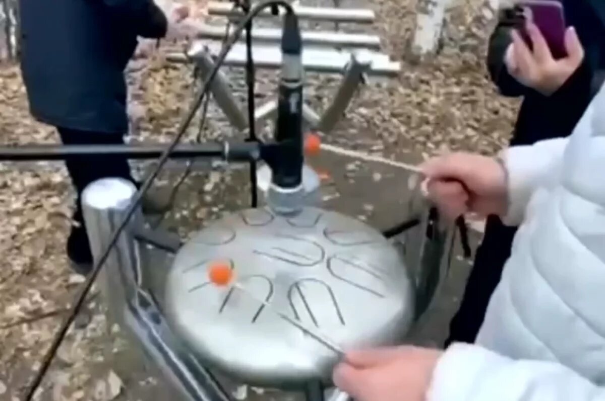    В Советском парке Омска зазвучали интерактивные музыкальные арт-объекты