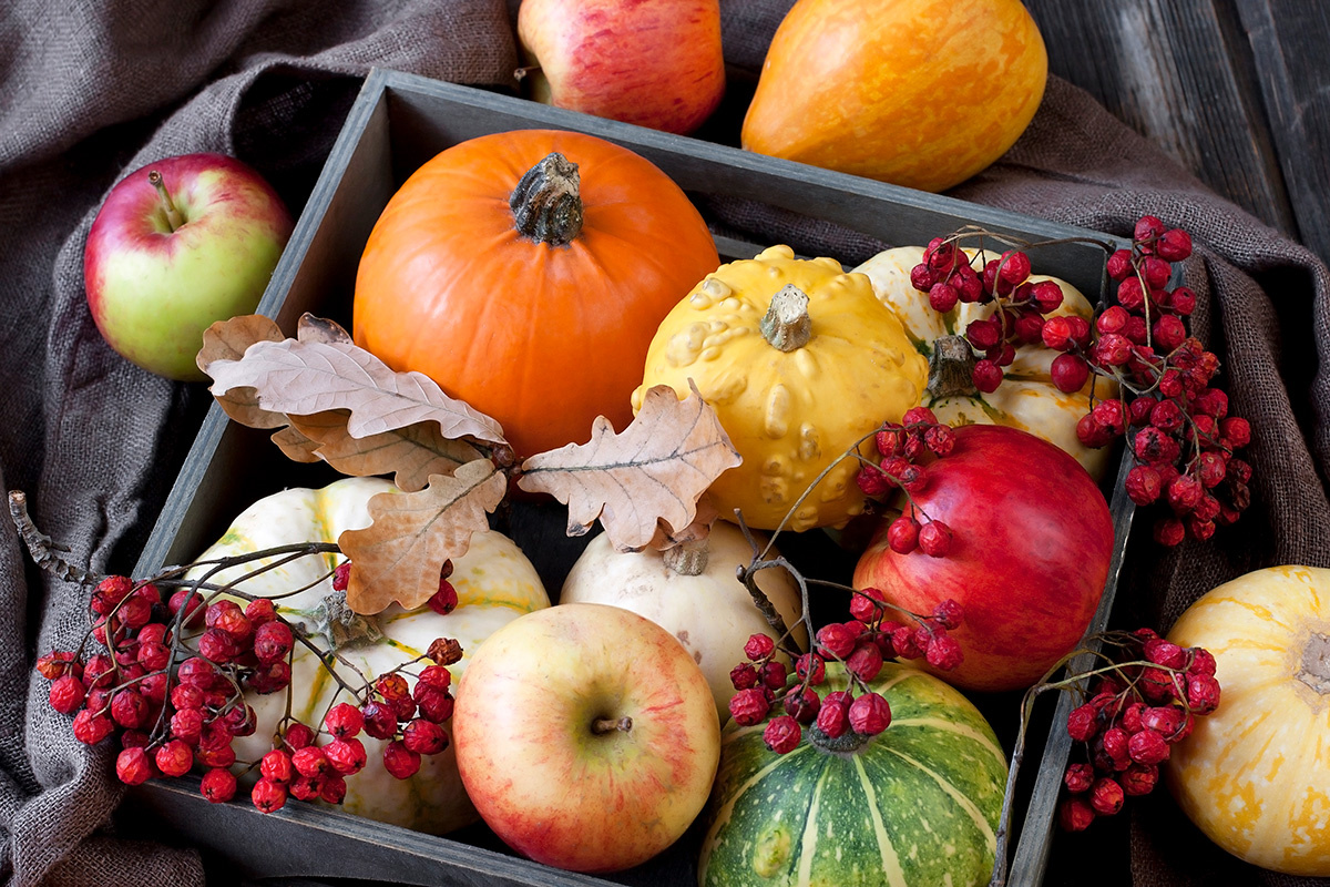 Яндекс картинки