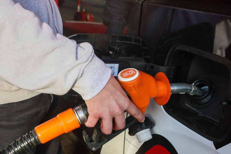    Наталья Шатохина/NEWS.ru