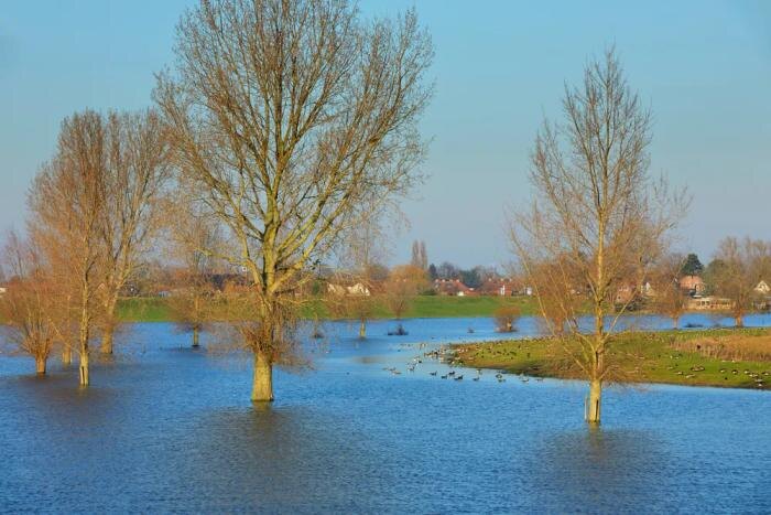 Обложка © Shutterstock / FOTODOM / R. de Bruijn_Photography