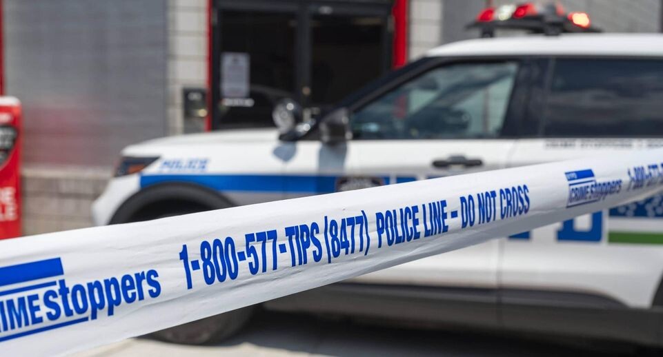    IMAGO/Ron Adar / www.globallookpress.com