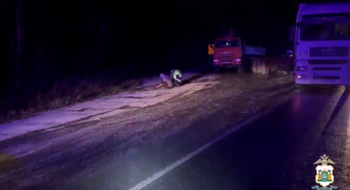    На автотрассе Сургут — Нижневартовск под колесами грузовика погибла женщина-пешеход